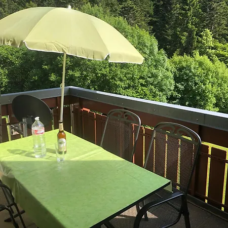 Haus Dachsberg * Todtmoos