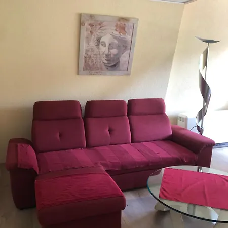 Haus Dachsberg דירה טודמוס