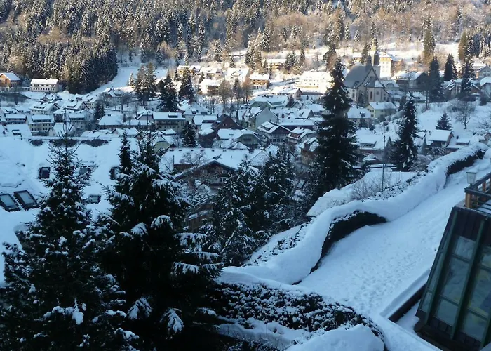 Haus Dachsberg Todtmoos